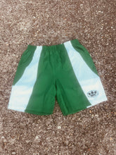 Load image into Gallery viewer, Nylon shorts

